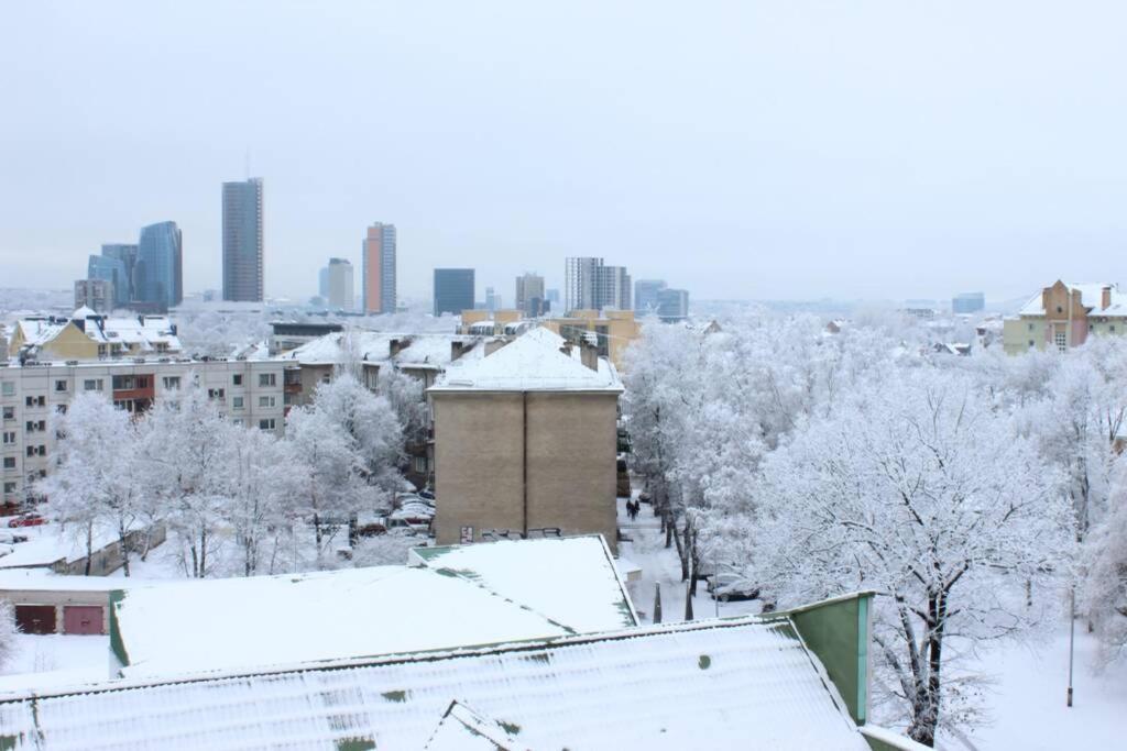 Penthouse Apartment With Great Panoramic City View VNO Buitenkant foto