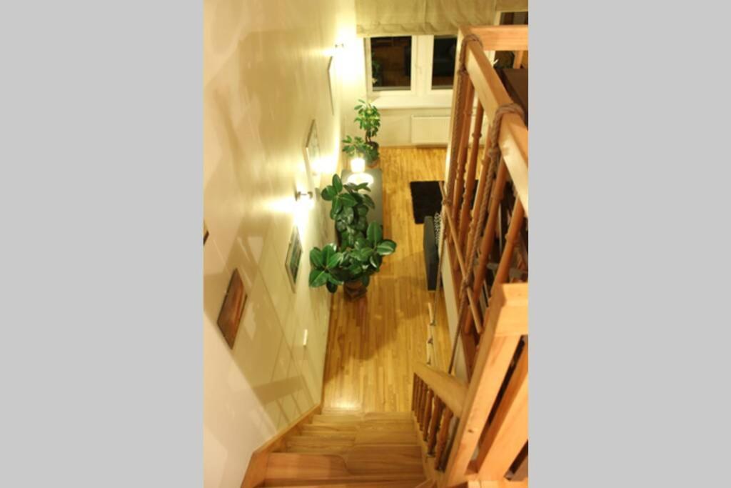 Penthouse Apartment With Great Panoramic City View VNO Buitenkant foto